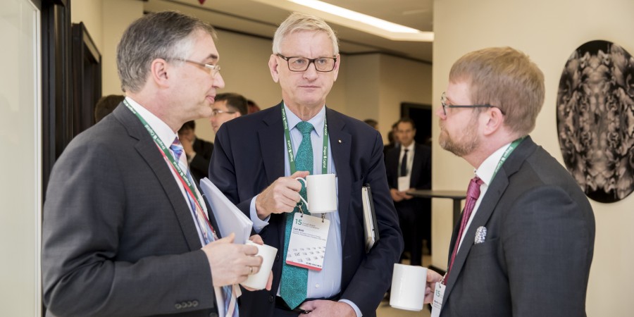 Карл Більдт, Співголова Європейської ради з питань зовнішніх відносин